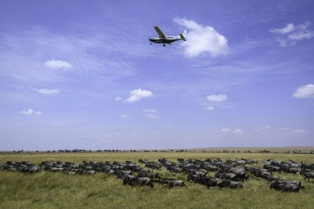 3 Days Masai Mara Flight Safari From Mombasa And Diani Tour