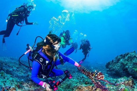 Diving In Diani