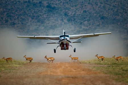 7 Days Flying Safari To Amboseli, Samburu And Masai Mara Tour