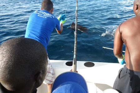 Full Day Fishing At Pemba Channel